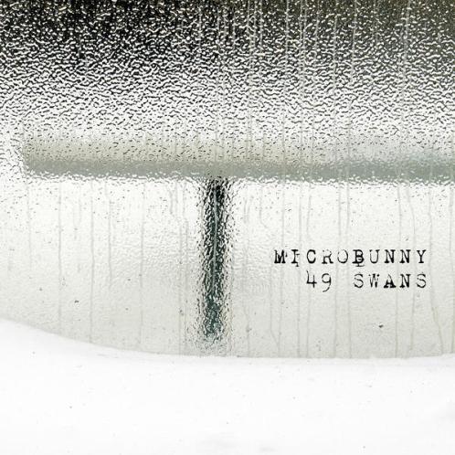 600x600 Micorbunny 49 swans